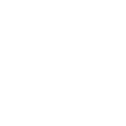 glocal box logo